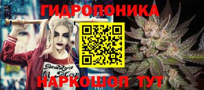 кокс Пушкино