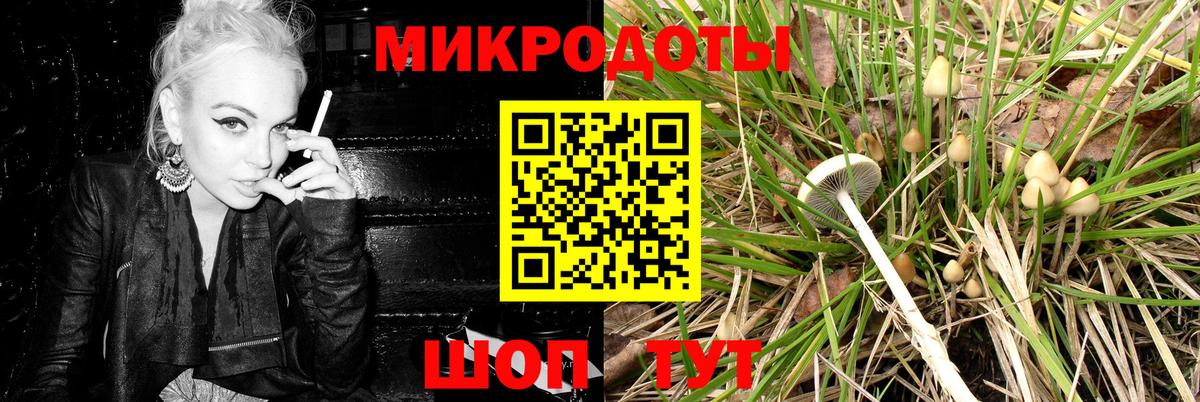 Галлюциногенные грибы Cubensis  Вход с VPN  Галлюциногенные грибы мухоморы  Серпухов 