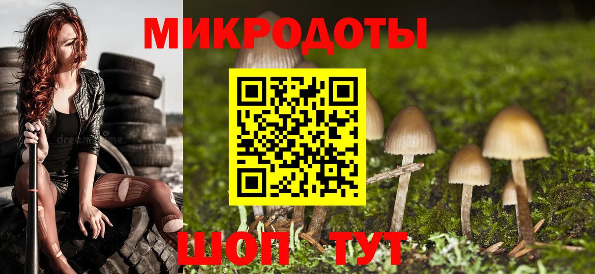 Псилоцибиновые грибы мухоморы Серпухов